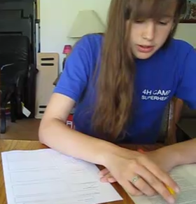 writing skills, graphic organizers