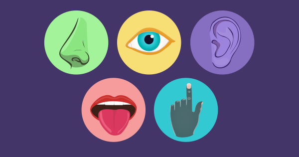 How the 5 Senses Impact How We Learn