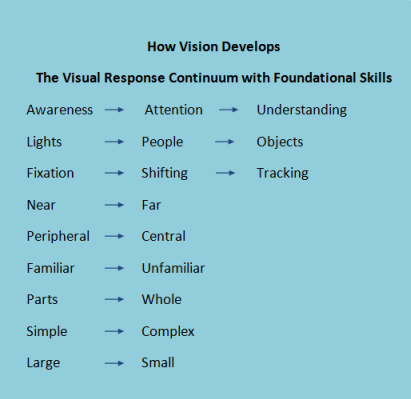 Steps to Visual Processing V-2