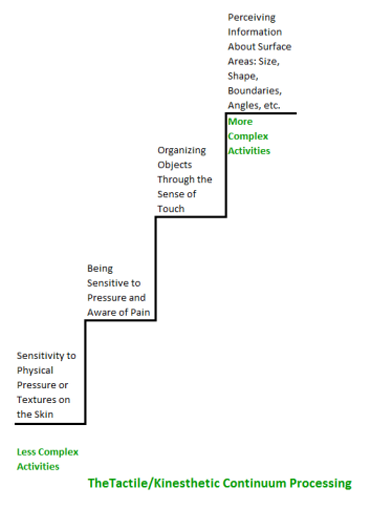 Tactile Kinesthetic Continuum Processing