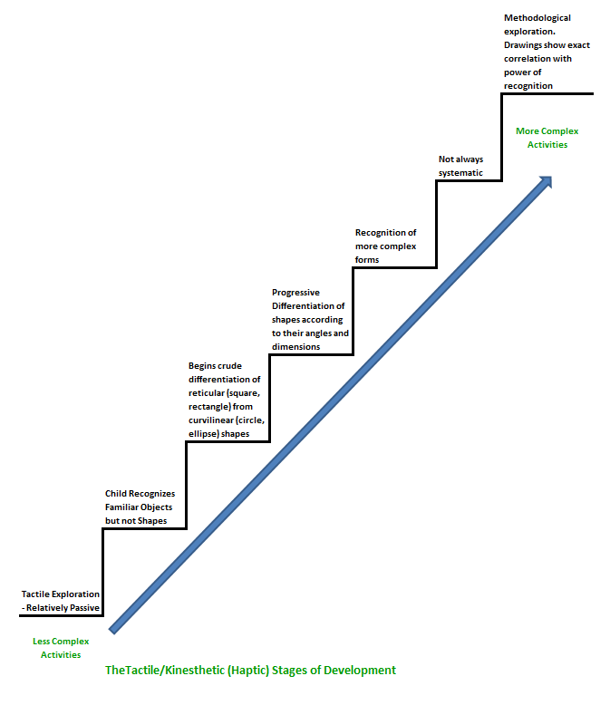 tactile kinesthetic processing