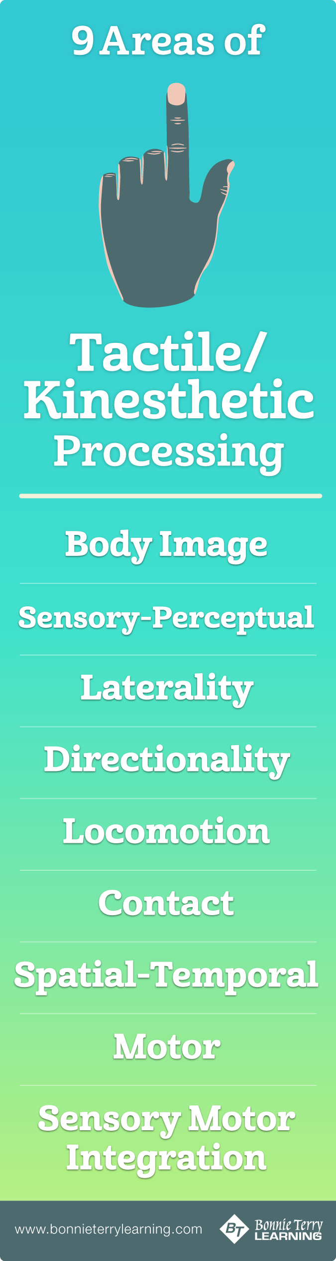 Areas of Tactile/Kinesthetic Processing