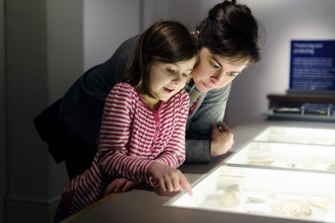 Family Activity: Go to the Museum
