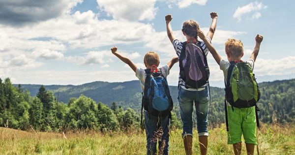 Goal Planning, Setting Priorities, and Executive Function