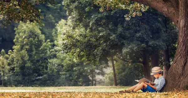 Summer Reading: Top 5 Books to Read by Grade Level