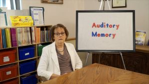 Auditory Perception: Auditory Memory