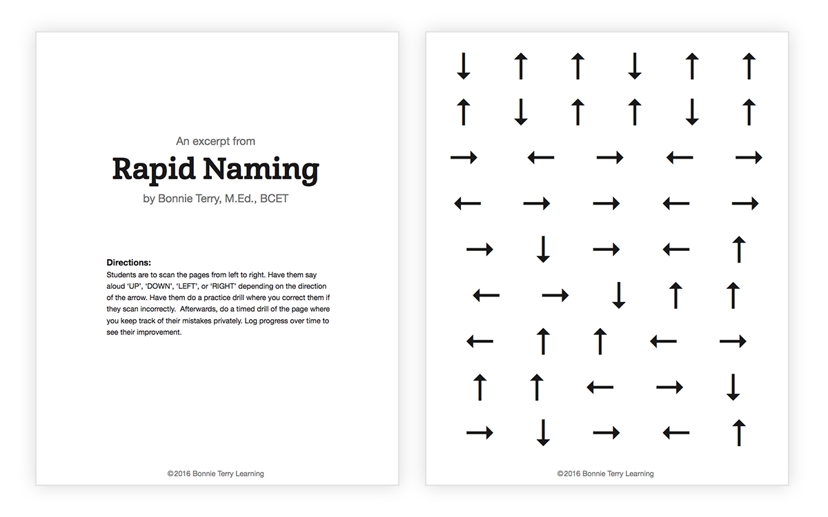 An Excerpt from Rapid Naming