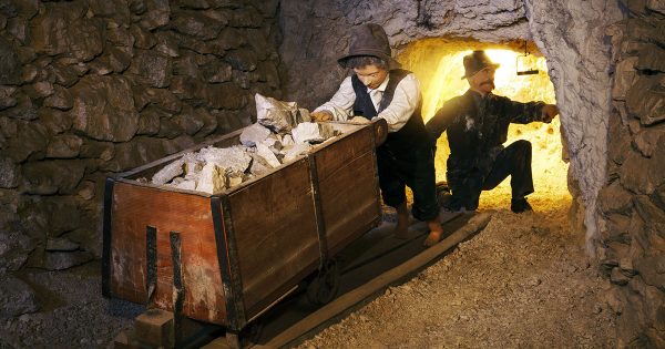 Improve Reading Comprehension with Family Field Trips